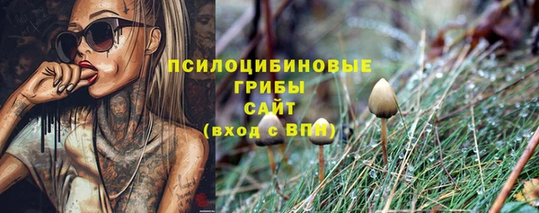 синтетический гашиш Армянск