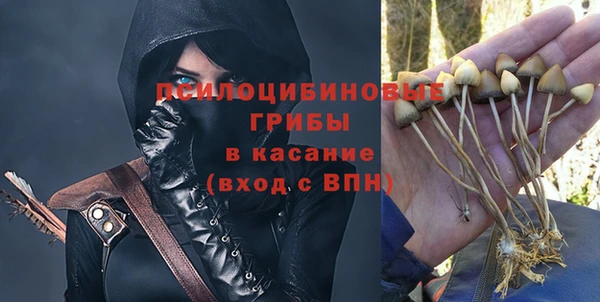 амф Арсеньев