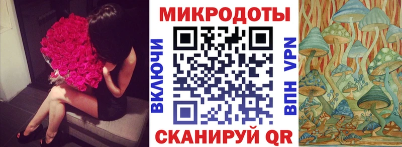 закладки  Геленджик  Псилоцибиновые грибы ЛСД 